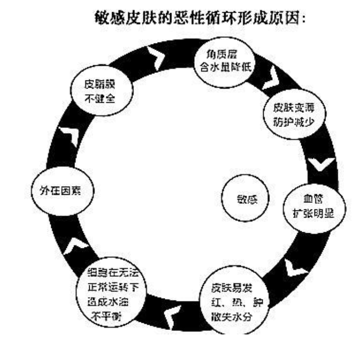 为什么你的脸容易过敏？